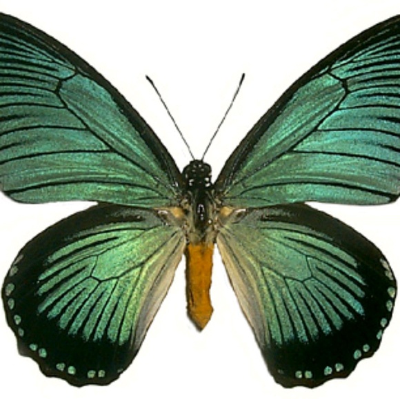 marysmomentos